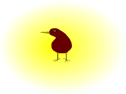 dancing kiwi