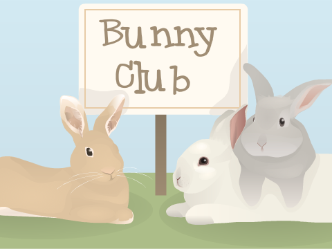 Thumbnail for Bunny Lovers Studio