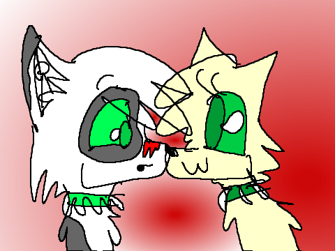 Bandit and mossfern