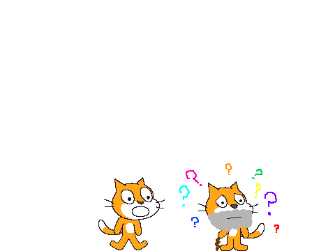 Scratch's wish