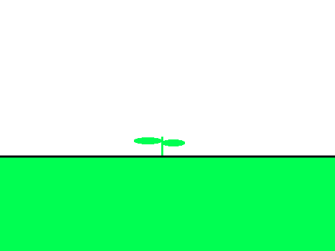 growing flower