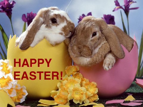 HAPPY EASTER!