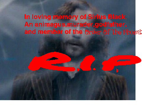 Sirius Black Tribute
