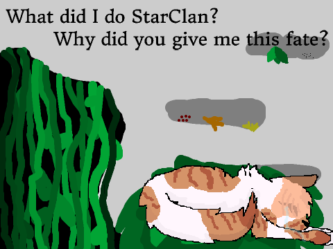 Sleeping/crying cat CCE