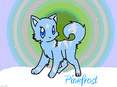 Cat Coloring Contest~Pinefrost