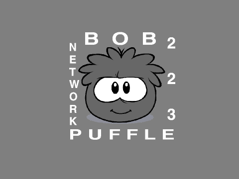 B223P : Bumper Next and Now test