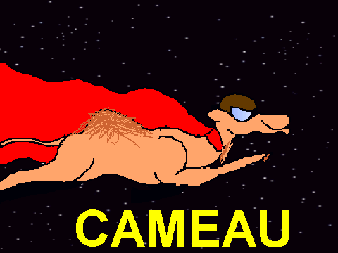 CAMEAU