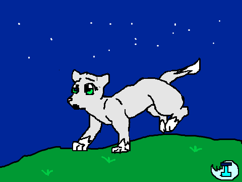 Running cat cycle