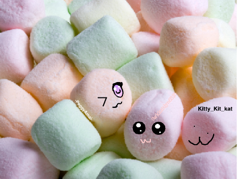Add yourself as a marshmallow...  remix