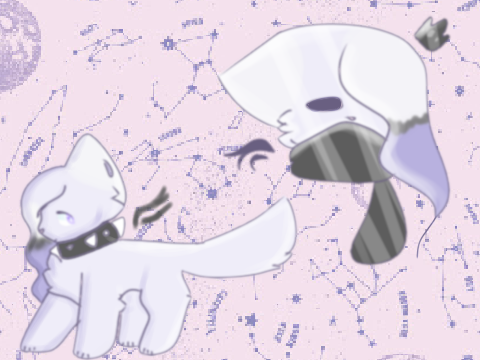 + midnight stars +