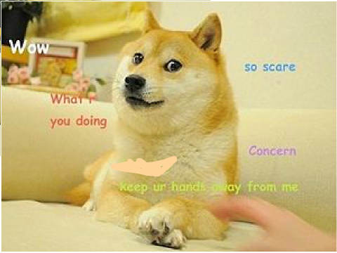 doge!