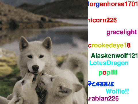sign if you love wolves... remix remix remix remix remix