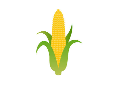 Corn face contest!!!!!
