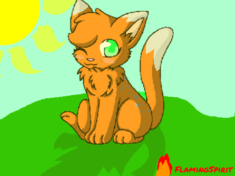 Cat CC remix