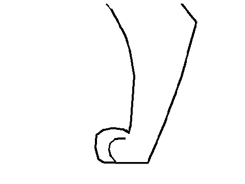 Paw