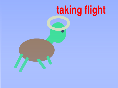 bas how to find holy turtles