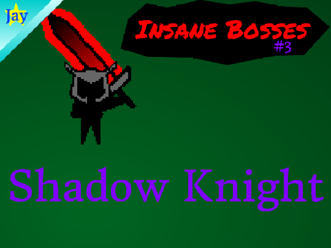 Insane Bosses #3; Shadow Knight
