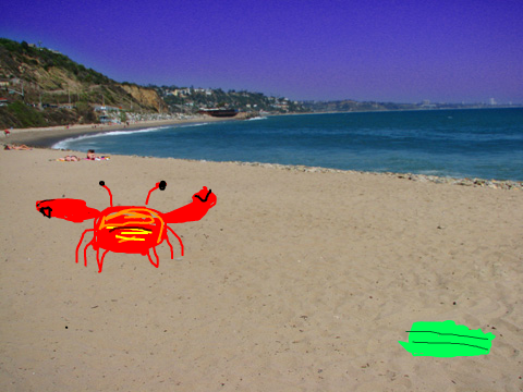 Crab at Rio Del Ma!