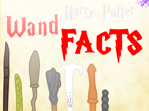 Harry Potter Wand Facts