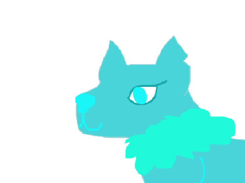 JUST GOT FIRE ALPACA!!!!!!!!!!!