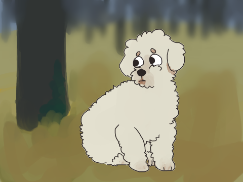 Daily dogs: Day 14