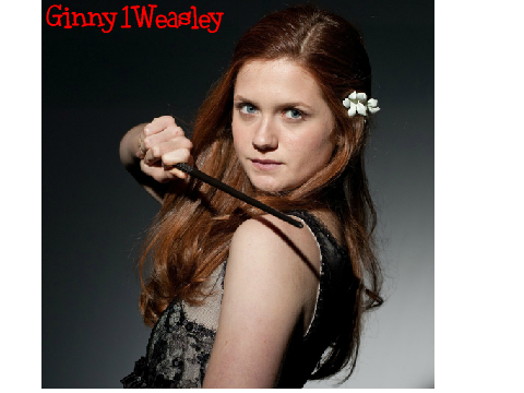 sign if you love Ginny remix remix