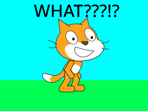 What????!?