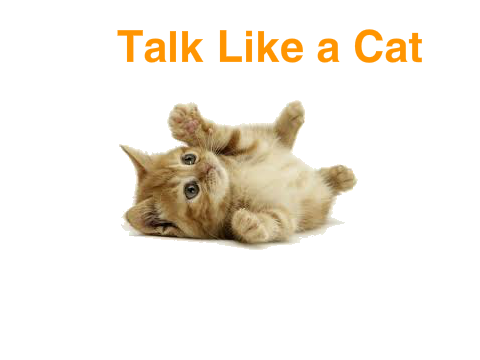 Talk Like a Cat
