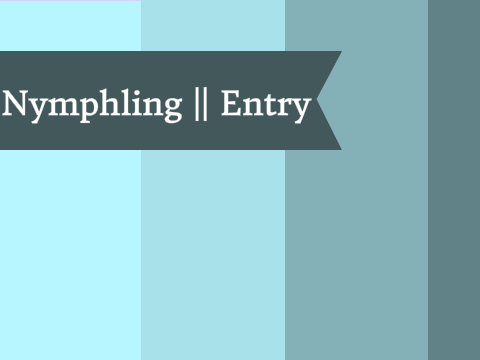♡♡Nymphling Base♡♡ || Entry