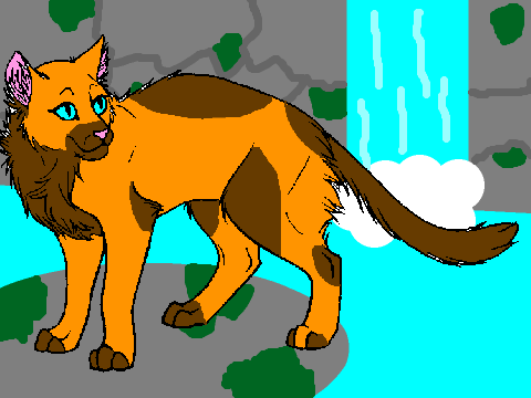 Cat Coloring contest! remix