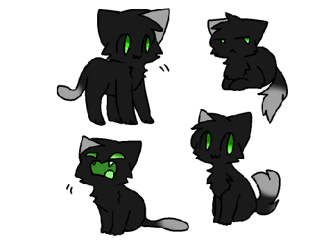 Hollykit/Paw/Song