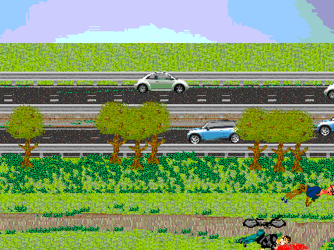 Bicyle Incident