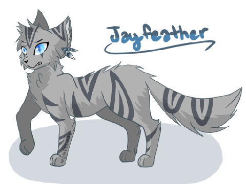 Jayfeather//JayJay//Jaybae <3