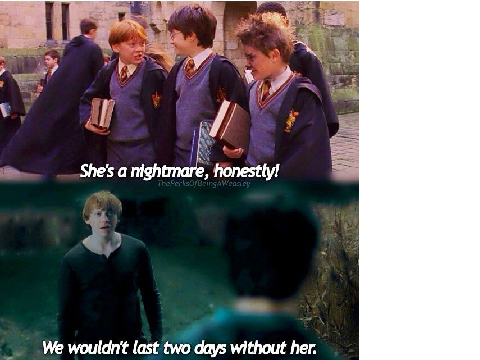  Memes Only Potterheads will Understand