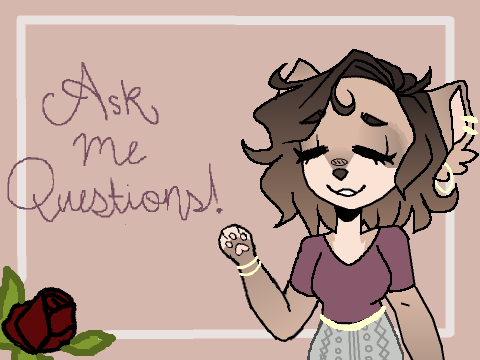 Q&A!!