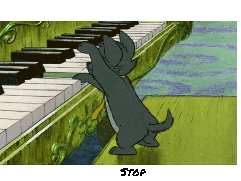 cat plays piano