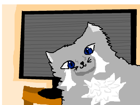 I'M A CAT CCE