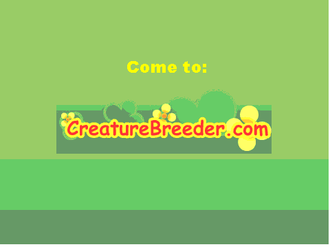 go to CreatureBreeeder.com!