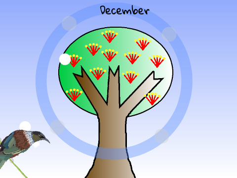The Tui’s Christmas