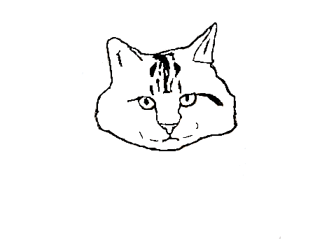 Random Cat Lineart