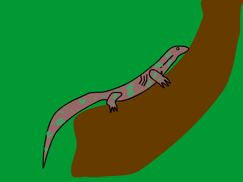 goanna