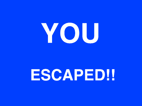 escape the room
