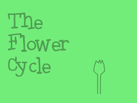 Flower Cycle!