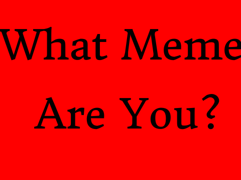 What Meme are you? {quiz}