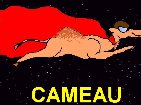 Epic Nyan CAMEAU