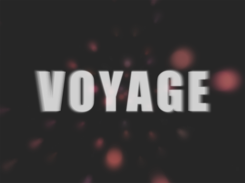Voyage