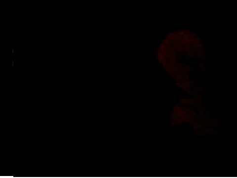 The Revenge at Freddy's 2: Fazbear's epitome