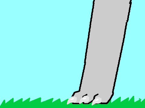 Other warrior cats animation