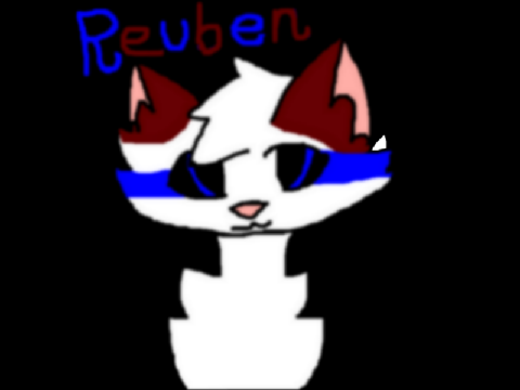 Reuben~ Carousel Collab(NSWC and Cinder)