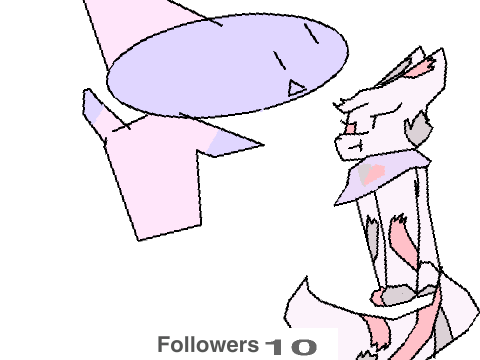 When u haz moar than 9 followerz